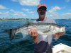 Tim's striper caught on a live mackerel